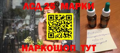 сатива Гатчина
