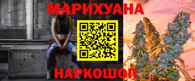 сатива Гатчина
