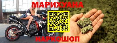 сатива Гатчина