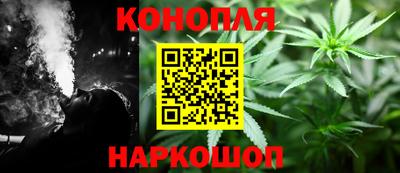 сатива Гатчина