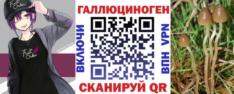 где можно купить наркотик MEGA сайт Псилоцибиновые грибы GOLDEN TEACHER Благовещенск