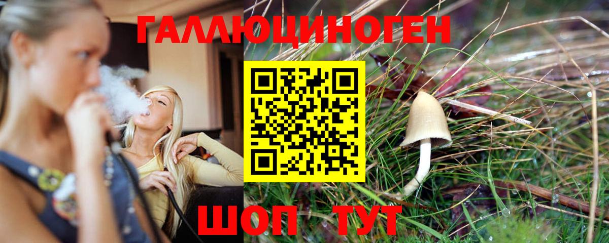 Псилоцибиновые грибы Psilocybe  Вход с VPN  Благовещенск 